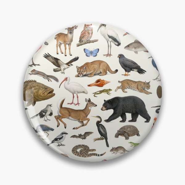 Item preview, Animals of Florida Retro Style Identification Chart designed and sold by kakarikihill.