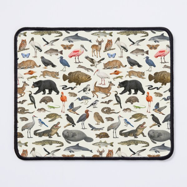 Item preview, Animals of Florida Retro Style Identification Chart designed and sold by kakarikihill.