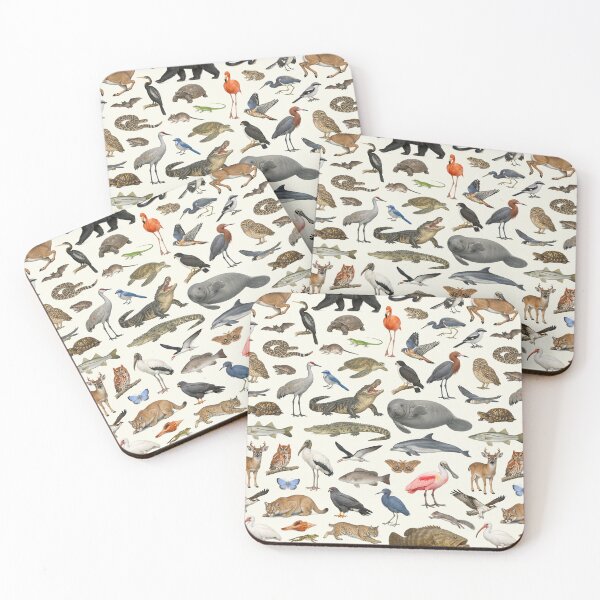 Item preview, Animals of Florida Retro Style Identification Chart designed and sold by kakarikihill.