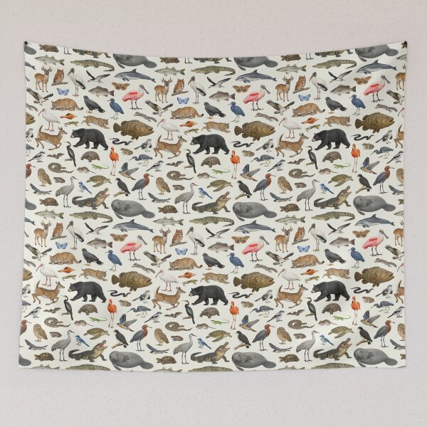 Item preview, Animals of Florida Retro Style Identification Chart designed and sold by kakarikihill.