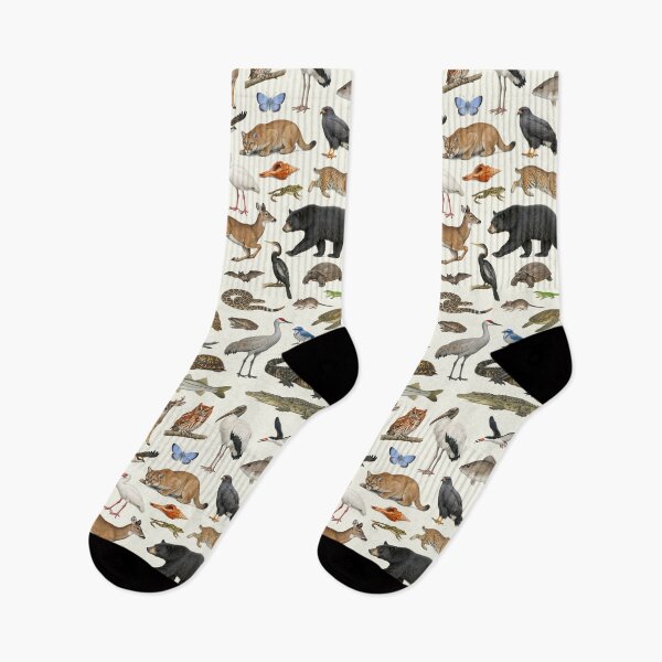 Item preview, Animals of Florida Retro Style Identification Chart designed and sold by kakarikihill.