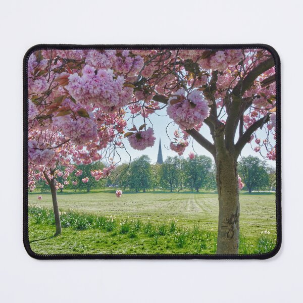 Item preview, Harrogate The Stray Cherry Blossom designed and sold by Alisonchambers2.