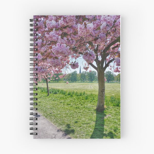 Item preview, Harrogate The Stray Cherry Blossom designed and sold by Alisonchambers2.