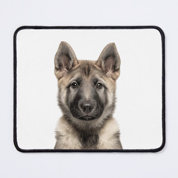 Item preview, Adorable Norwegian Elkhound puppy for Cute Elkie puppy lovers designed and sold by LazyOwlStore.