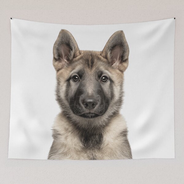 Item preview, Adorable Norwegian Elkhound puppy for Cute Elkie puppy lovers designed and sold by LazyOwlStore.