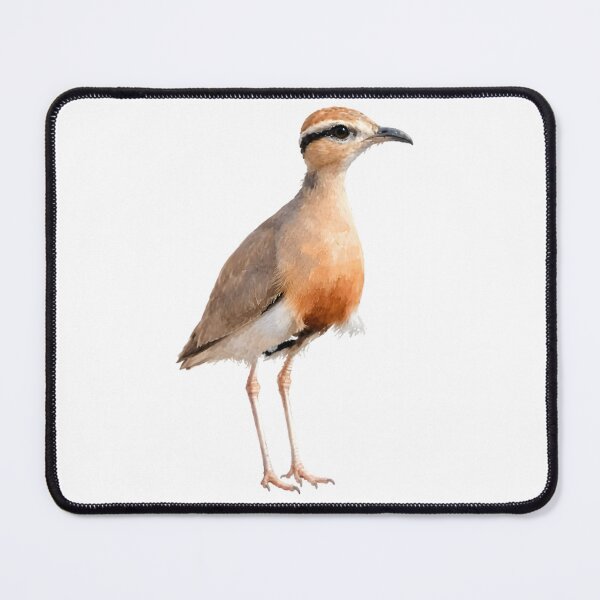 Item preview, Temminck’s Courser designed and sold by HOMETOWN86.