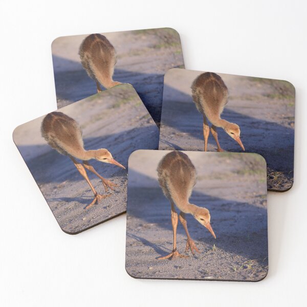 Item preview, Young Bird on Sandy Path designed and sold by MercerImages.