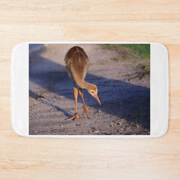 Item preview, Young Bird on Sandy Path designed and sold by MercerImages.