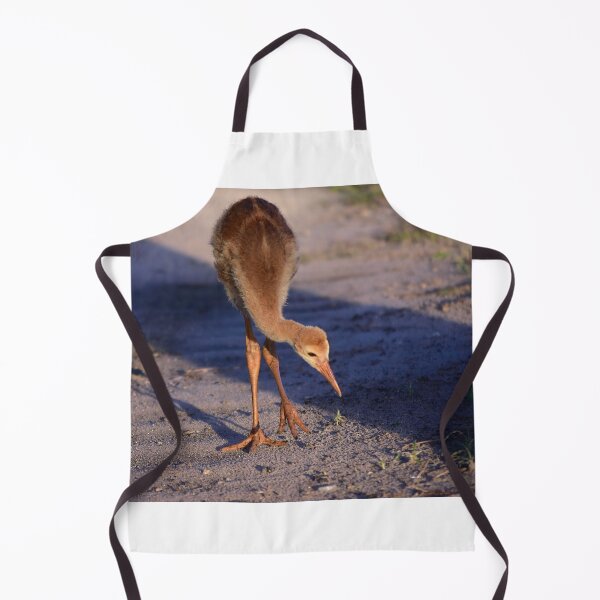 Item preview, Young Bird on Sandy Path designed and sold by MercerImages.