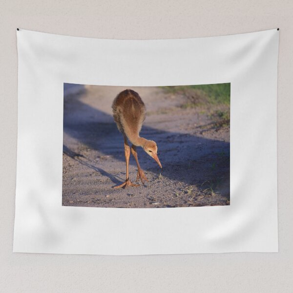 Item preview, Young Bird on Sandy Path designed and sold by MercerImages.