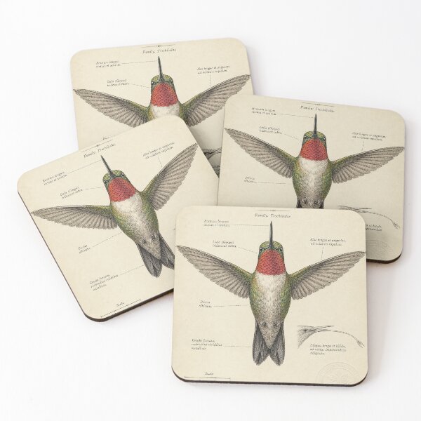 Item preview, Aureate Hummingbird — Naturalist Ink Illustration designed and sold by Jandedan.
