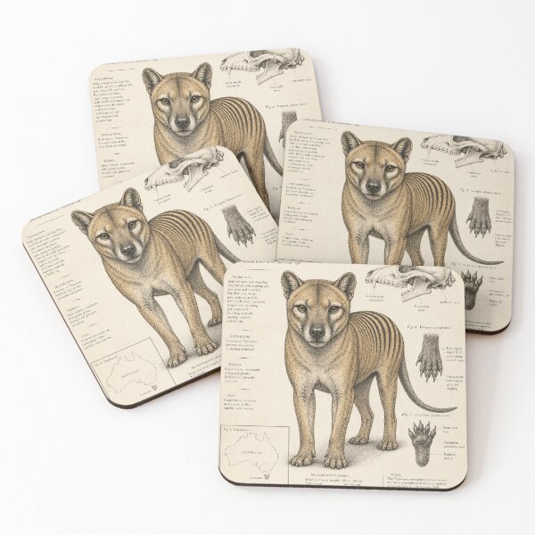 Item preview, Thylacine Study — Naturalist Tasmanian Tiger Ink Illustration designed and sold by Jandedan.