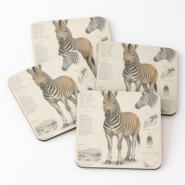 Item preview, Quagga Study — Naturalist Quagga Ink Illustration designed and sold by Jandedan.