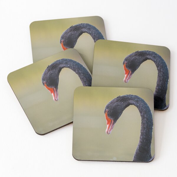 Item preview, Elegance of the Black Swan designed and sold by Niwo-photography.