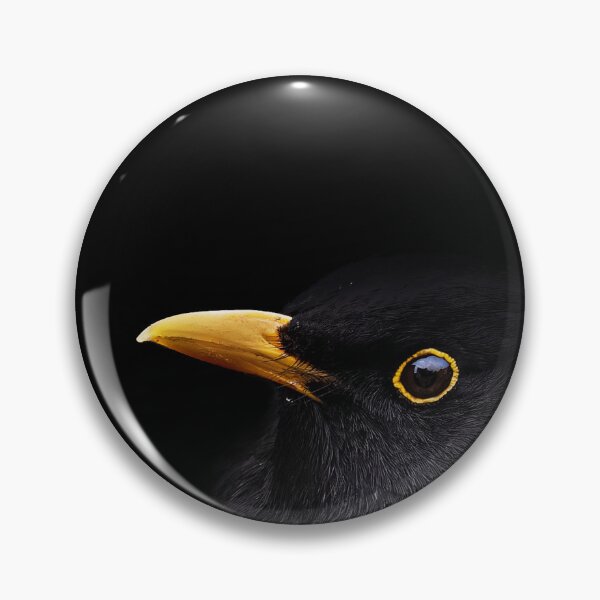 Item preview, Gaze of the Blackbird designed and sold by Niwo-photography.