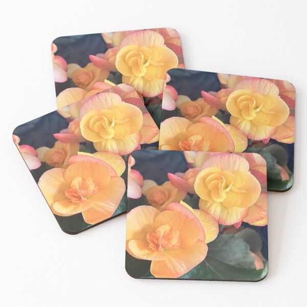 Item preview, Soft Peach and Yellow Begonia Flower Photography Print designed and sold by Be Captured by Brittany Emma.