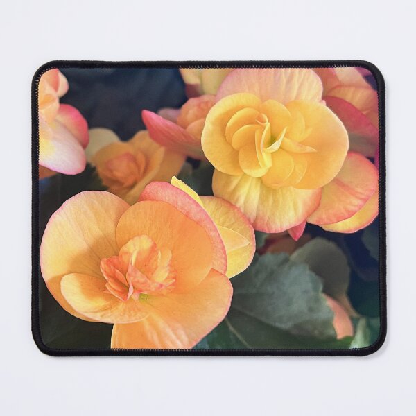 Item preview, Soft Peach and Yellow Begonia Flower Photography Print designed and sold by Be Captured by Brittany Emma.