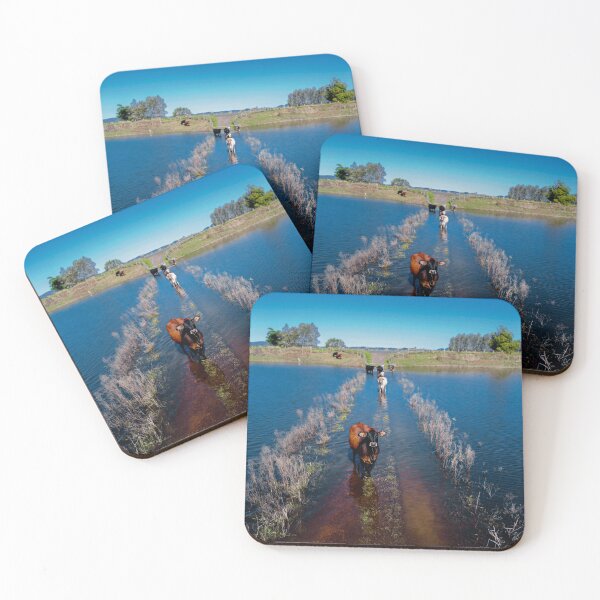 Item preview, Ulmarra NSW (Clarence Valley) designed and sold by CoffeePilot.