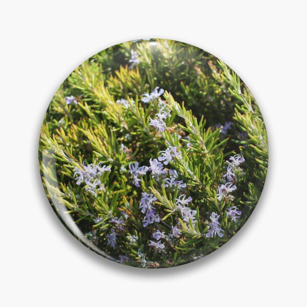 Item preview, Fresh Rosemary Herb Bush With Small Purple Flowers In Sunny Garden Close-Up designed and sold by Nmallia.