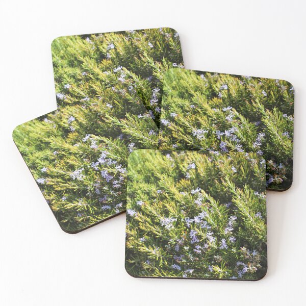 Item preview, Fresh Rosemary Herb Bush With Small Purple Flowers In Sunny Garden Close-Up designed and sold by Nmallia.