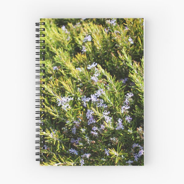Item preview, Fresh Rosemary Herb Bush With Small Purple Flowers In Sunny Garden Close-Up designed and sold by Nmallia.
