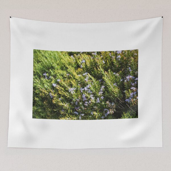 Item preview, Fresh Rosemary Herb Bush With Small Purple Flowers In Sunny Garden Close-Up designed and sold by Nmallia.