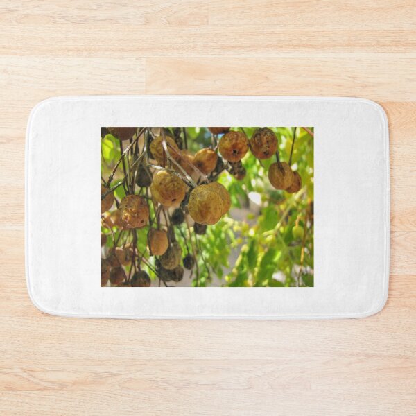 Item preview, Closeup Of Yellow Dried Fruit Clusters Hanging From Tree Branches In Sunlit Garden designed and sold by Nmallia.
