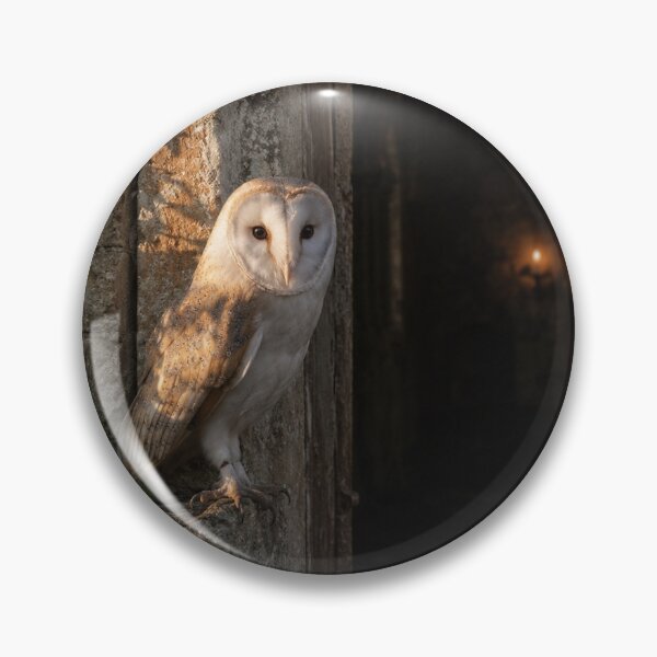Item preview, Barn Owl in Ruined Chapel Doorway - Gothic Wildlife Photography designed and sold by NightlarkS.
