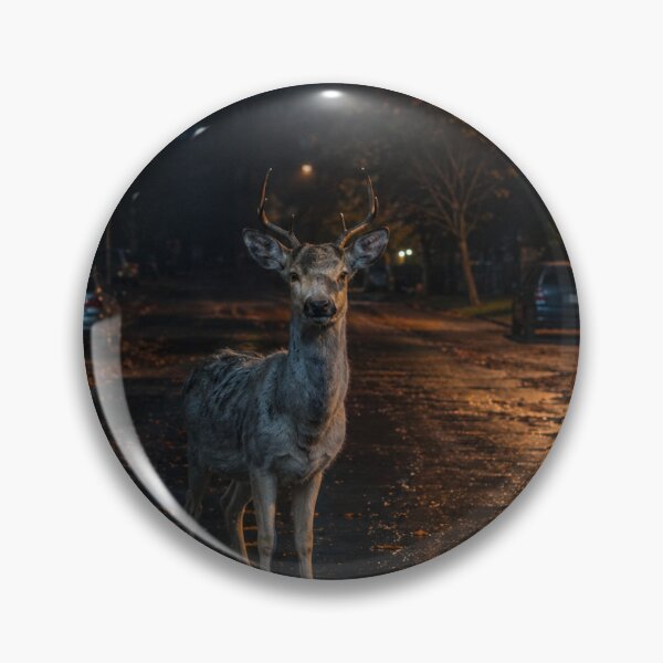 Item preview, White Deer in Midnight Street - Urban Wildlife Photography Print designed and sold by NightlarkS.