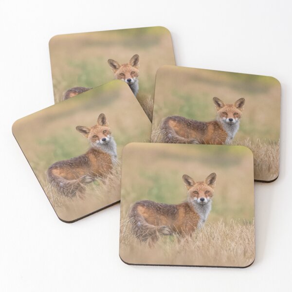 Item preview, Encounter in Summer Grass designed and sold by Niwo-photography.