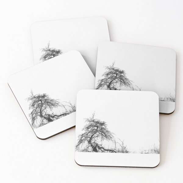 Item preview, Lost in Winter designed and sold by Niwo-photography.