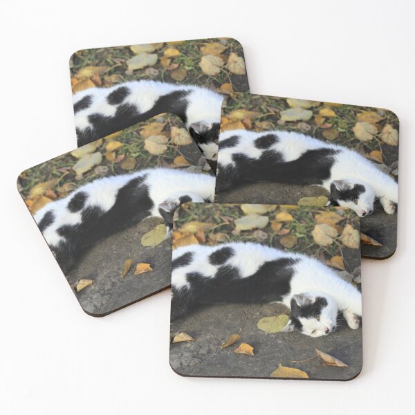 Item preview, Street cat lying on ground designed and sold by olena2552.