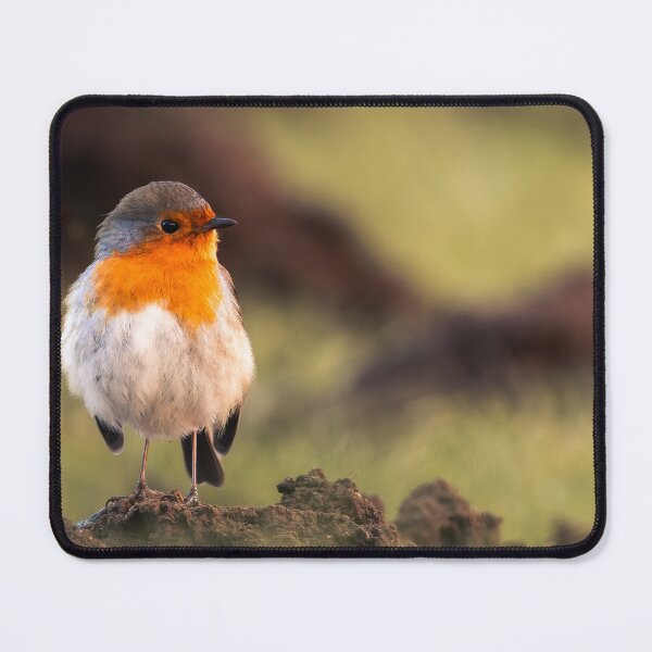 Item preview, Quiet Observer designed and sold by Niwo-photography.