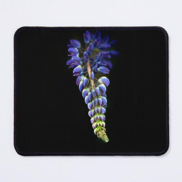 Item preview, Violet flower on black background designed and sold by olena2552.