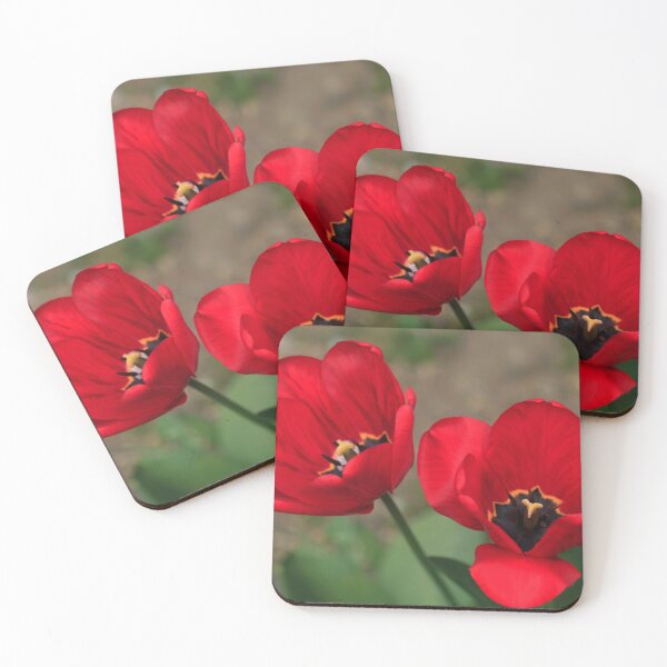 Item preview, Red tulips in spring garden designed and sold by olena2552.