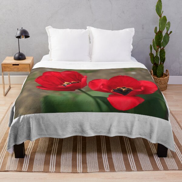Item preview, Red tulips in spring garden designed and sold by olena2552.