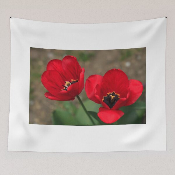 Item preview, Red tulips in spring garden designed and sold by olena2552.