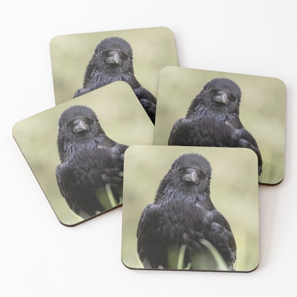 Item preview, Curiosity of the Crow designed and sold by Niwo-photography.