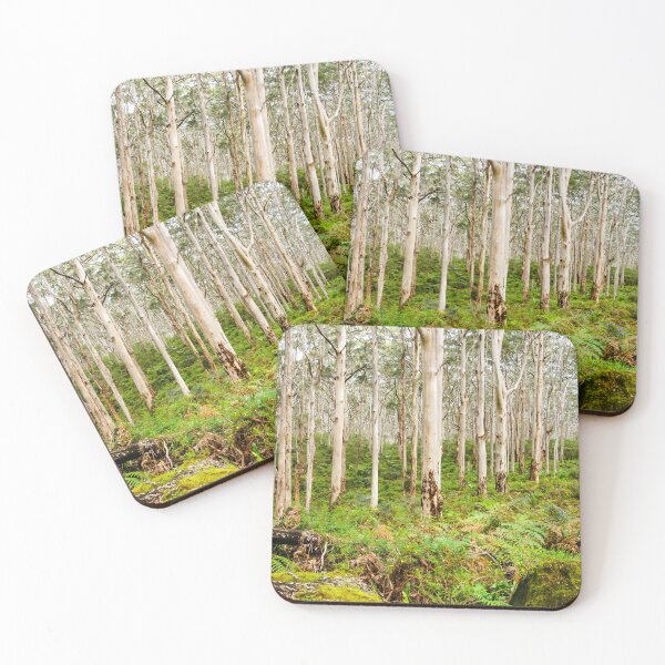 Item preview, Boranup Forest, Margaret River Region | Western Australia Pale Karri Tree Woodland Landscape Art designed and sold by Ross.A.Campbell.