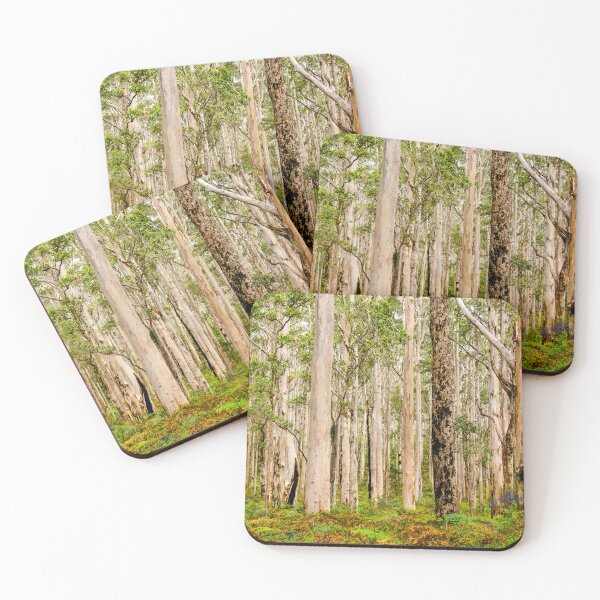 Item preview, Boranup Forest, Margaret River Region | Western Australia Pale Karri Tree Woodland Landscape Art designed and sold by Ross.A.Campbell.