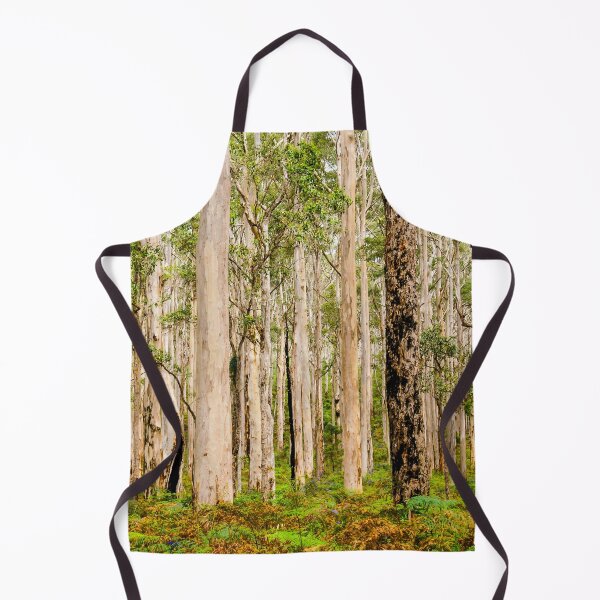 Artikelvorschau, Boranup-Wald, Margaret-River-Region | Westaustralien: Landschaftskunst aus dem Waldgebiet des blassen Karri-Baumes entworfen und verkauft von Ross.A.Campbell.