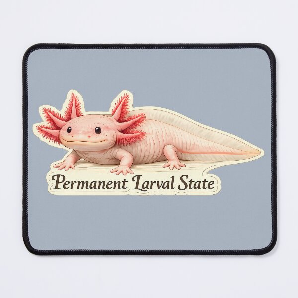 Item preview, Permanent Larval State Axolotl Sticker – Scientific Meme Axolotl Illustration - Funny Neoteny Salamander Design - Cottagecore Nerd Gift designed and sold by aquaterralife.
