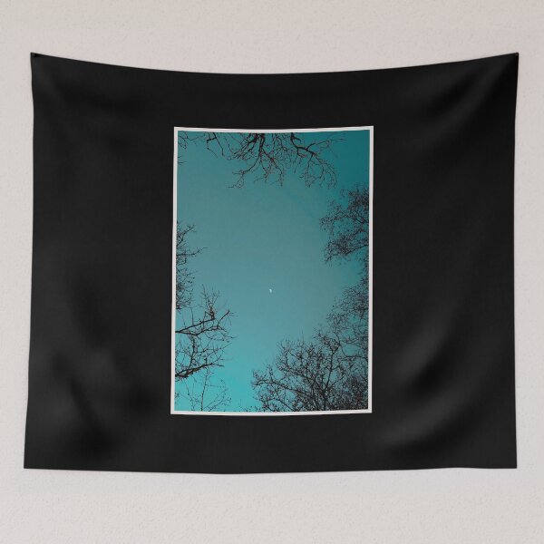 Item preview, moon resting between tree branches (alexandria, scotland) (april 2026) designed and sold by photosbykel.