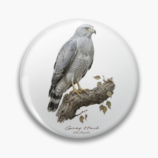 Item preview, Gray Hawk on Branch designed and sold by Takeda-art.