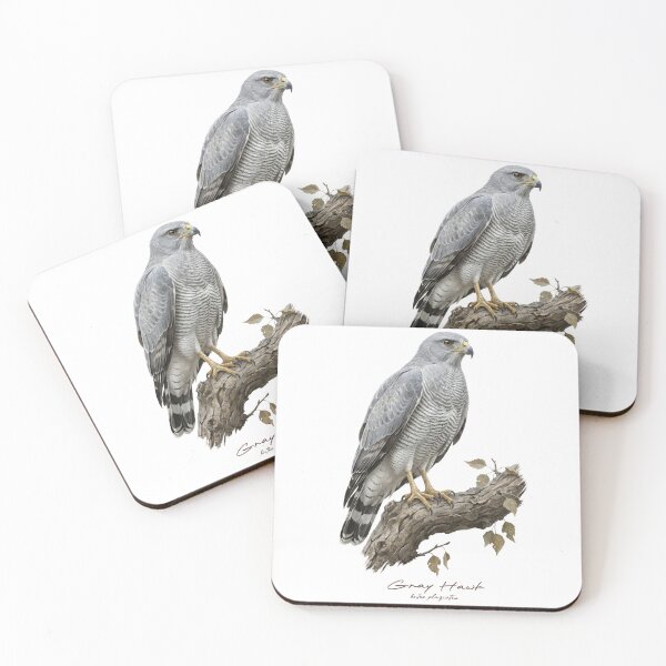 Item preview, Gray Hawk on Branch designed and sold by Takeda-art.