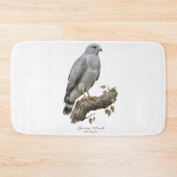 Item preview, Gray Hawk on Branch designed and sold by Takeda-art.