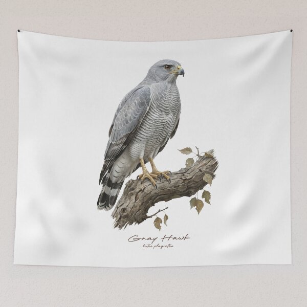 Item preview, Gray Hawk on Branch designed and sold by Takeda-art.