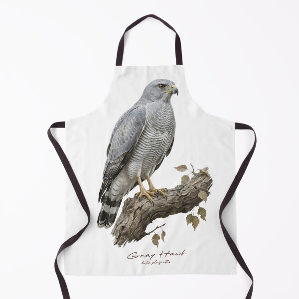 Item preview, Gray Hawk on Branch designed and sold by Takeda-art.