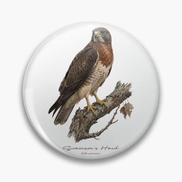 Item preview, Swainson's Hawk on Tree designed and sold by Takeda-art.