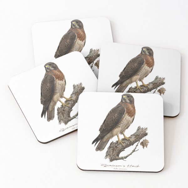 Item preview, Swainson's Hawk on Tree designed and sold by Takeda-art.